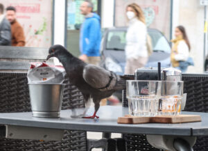 Wie komm ich an die Chips?