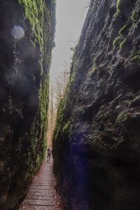 In der Drachenschlucht