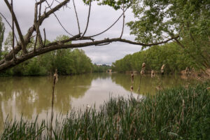 Am Ebro