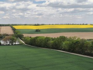 Radweg vom Aussichtsturm aus